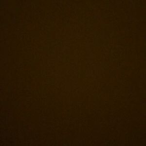 Meet your Posher, Dilan